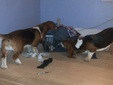 Enlarge photo 12