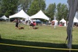 Enlarge photo 36