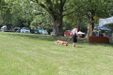 Enlarge photo 29