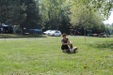 Enlarge photo 27