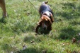 Enlarge photo 11