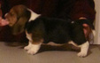 Enlarge photo 27