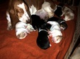 Enlarge photo 7