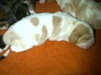 Enlarge photo 14