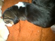 Enlarge photo 15