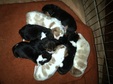 Enlarge photo 23