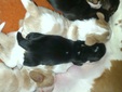 Enlarge photo 25