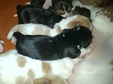 Enlarge photo 26