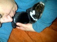 Enlarge photo 27