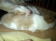 Enlarge photo 32