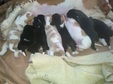 Enlarge photo 37