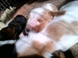 Enlarge photo 39