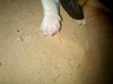 Enlarge photo 59