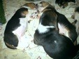 Enlarge photo 113
