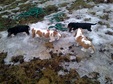 Enlarge photo 144