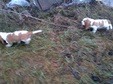 Enlarge photo 145