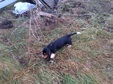 Enlarge photo 146