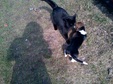 Enlarge photo 169