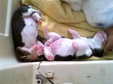 Enlarge photo 42