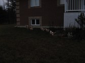 Enlarge photo 18