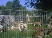 Enlarge photo 19