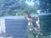 Enlarge photo 15