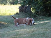 Enlarge photo 5