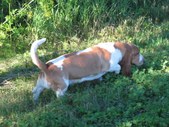 Enlarge photo 11