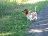 Enlarge photo 12