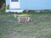 Enlarge photo 13