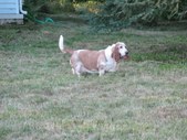 Enlarge photo 14