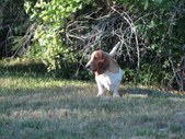 Enlarge photo 15