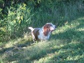 Enlarge photo 17