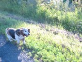 Enlarge photo 21