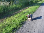Enlarge photo 24
