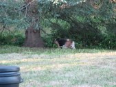 Enlarge photo 27