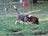 Enlarge photo 28