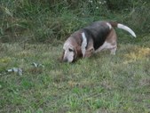 Enlarge photo 31