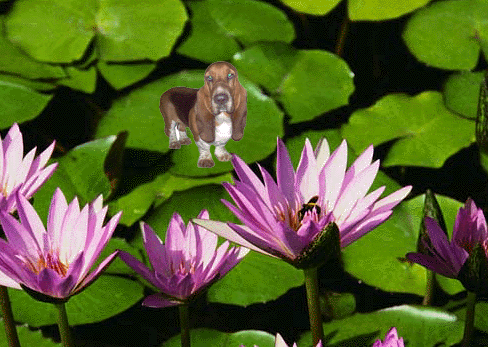 Enlarge photo 29