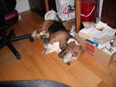 Enlarge photo 48