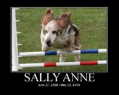 Enlarge photo 58