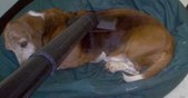 Enlarge photo 26