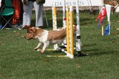 Enlarge photo 25