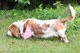 Enlarge photo 28