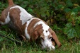 Enlarge photo 32