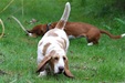 Enlarge photo 27