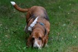 Enlarge photo 23