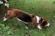 Enlarge photo 19