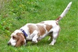 Enlarge photo 26