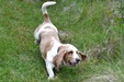 Enlarge photo 12